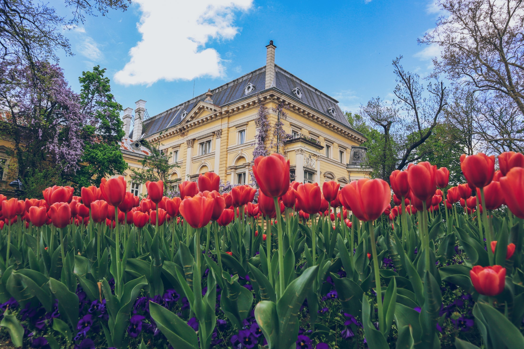National Art Gallery(former Royal palace) in Sofia, Bulgaria with tulips in the foreground. Sofia during spring time in May. Best time to visit Sofia, Bulgaria.